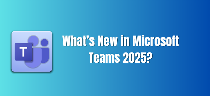 features of Microsoft Team 2025