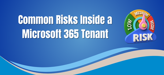 Microsoft Tenant IT Audit Services