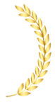 leaf-right-clr