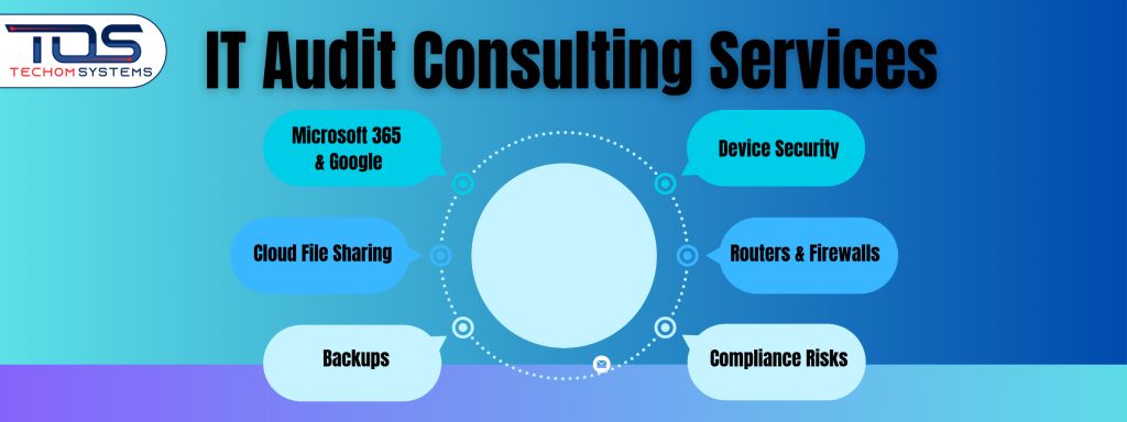 IT Audit Consulting Services