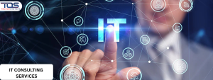 IT CONSULTING SERVICES