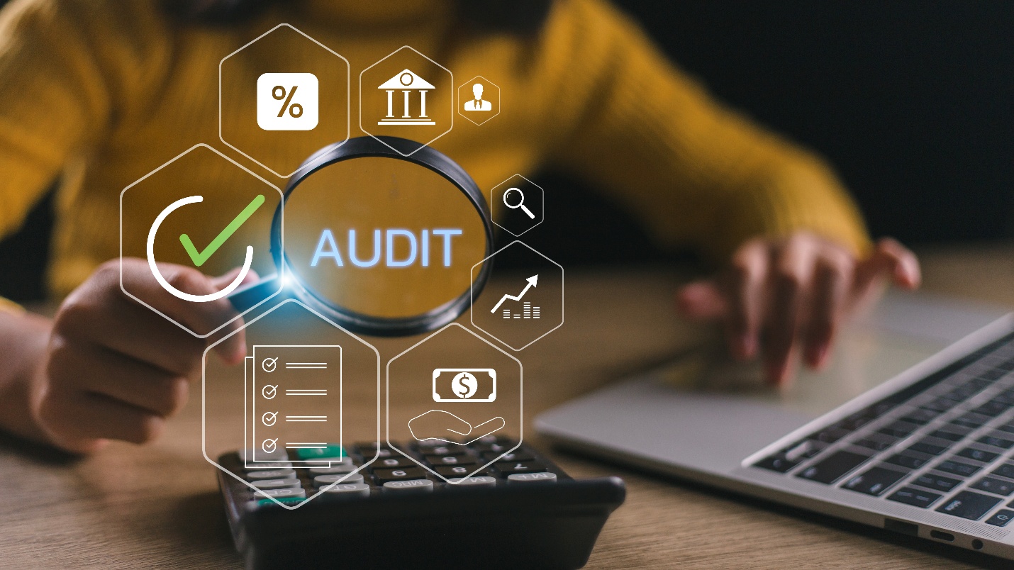 IT audit services