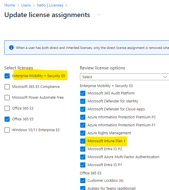 Assign Intune Licenses