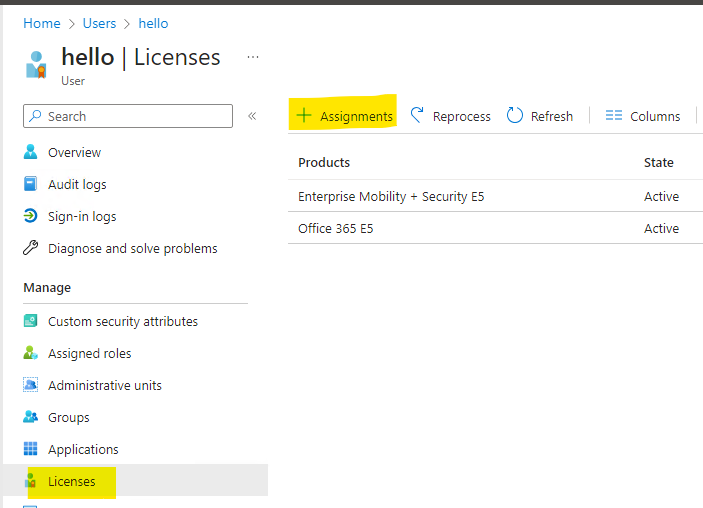 Assign Intune Licenses
