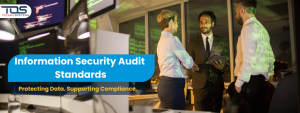 Information Security Audit Standards-min